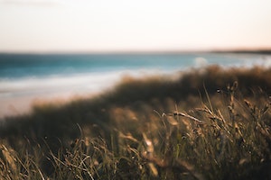 Nothing to say, Plenty to&nbsp;think.