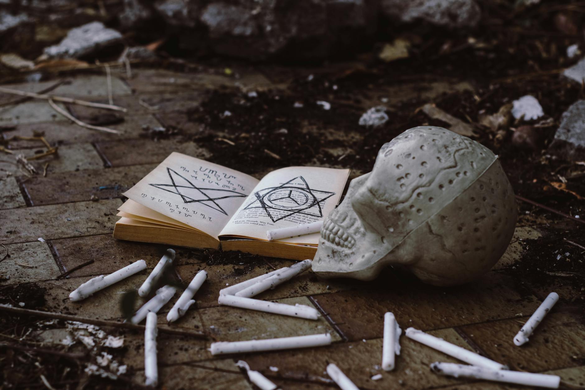 opened book near skull