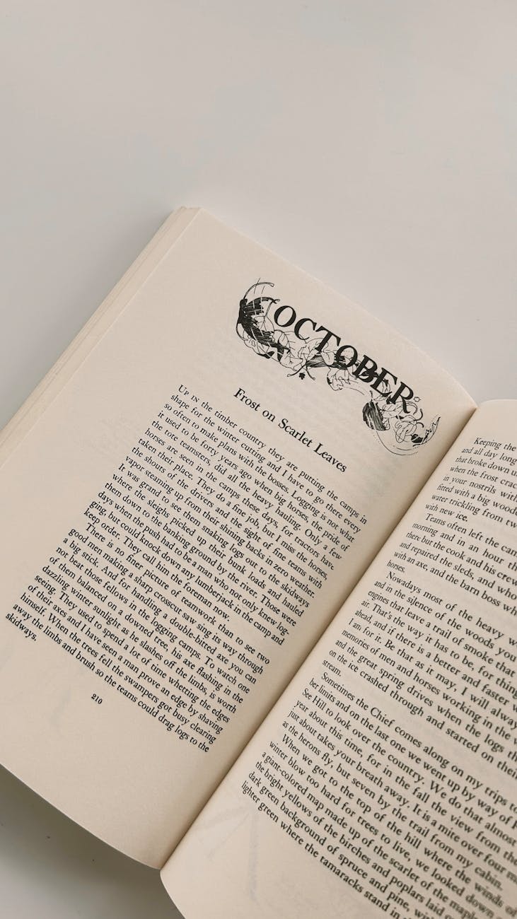 Cozy Reads, Cozy Sales: How October Can Boost Your Author&nbsp;Brand