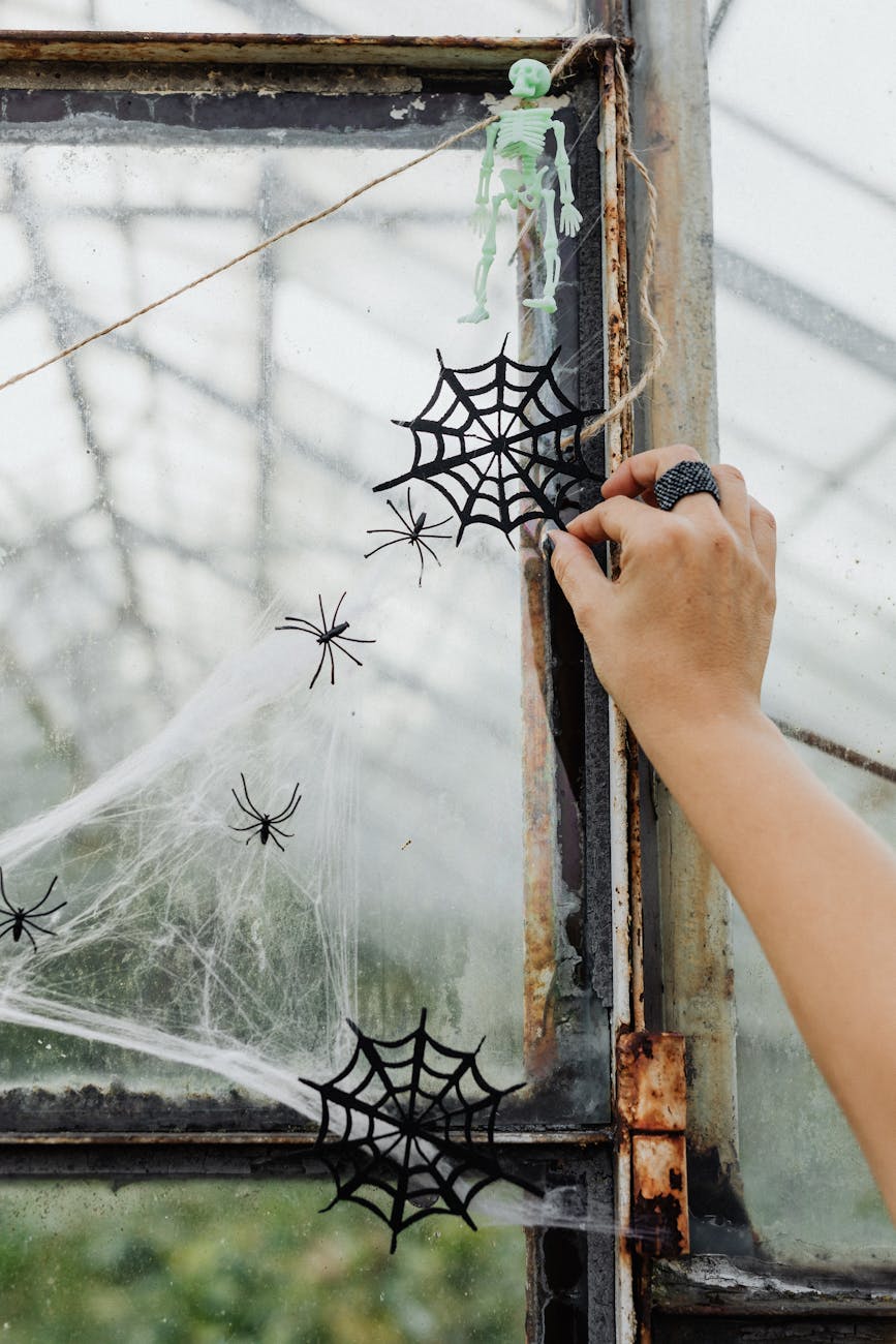 Trick or Treat… or Publish? The Real Scares of Indie Author&nbsp;Life