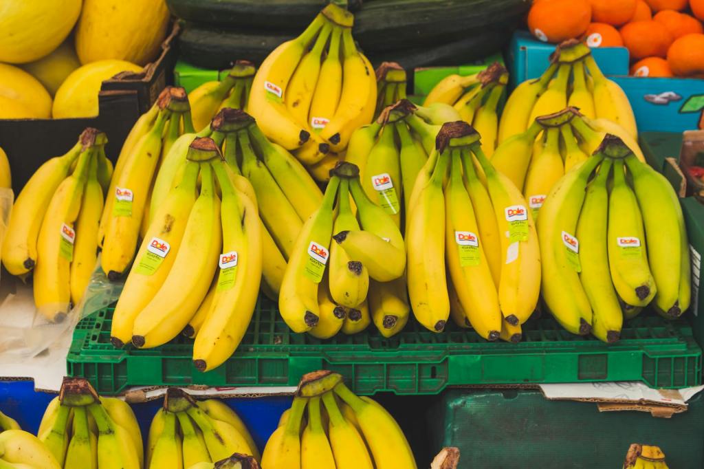 Bananas, Books, and Becoming a&nbsp;Grown-Up
