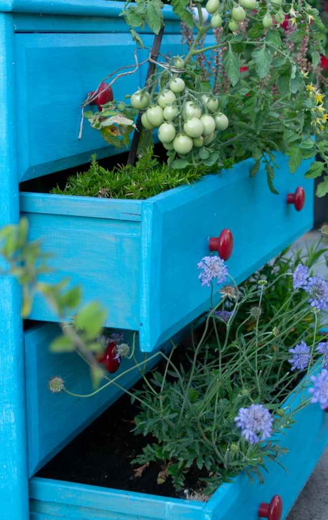 The Widow’s Garden