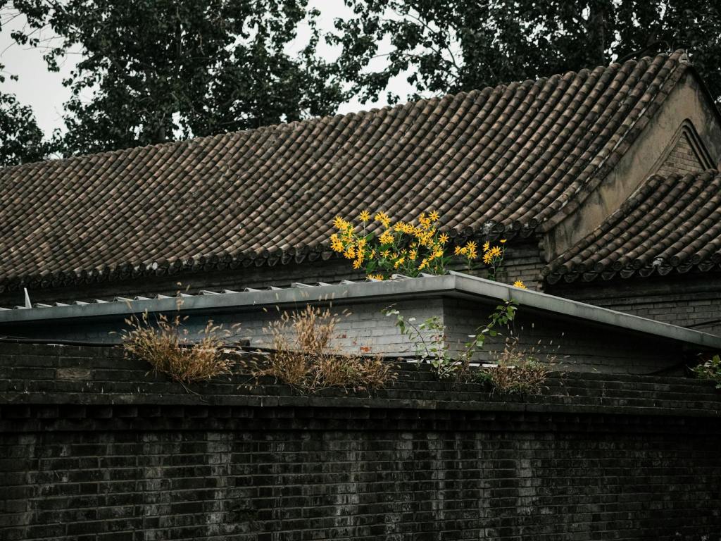 The Gardener